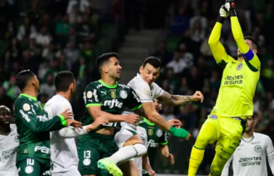 Goiás perde para o Palmeiras com Gol nos acréscimos