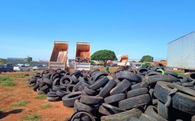 Prefeitura de Goiânia promove recolhimento de pneus e distribuição de mudas no Mutirão da Região Sudoeste